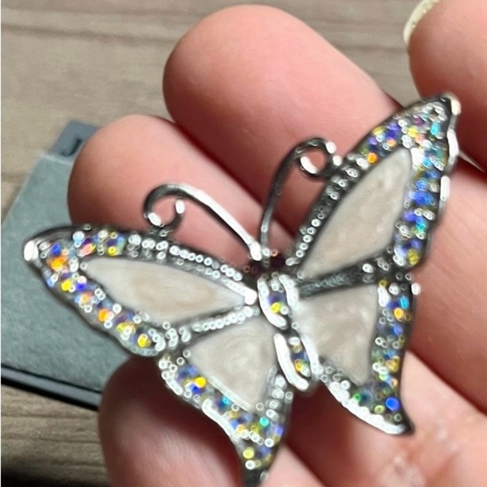Elegant Silver Butterfly brooch